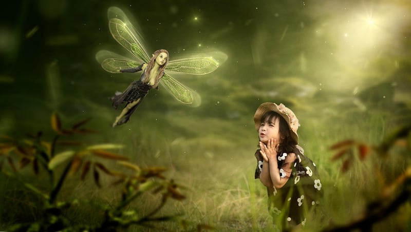 Magical Creature Encounters